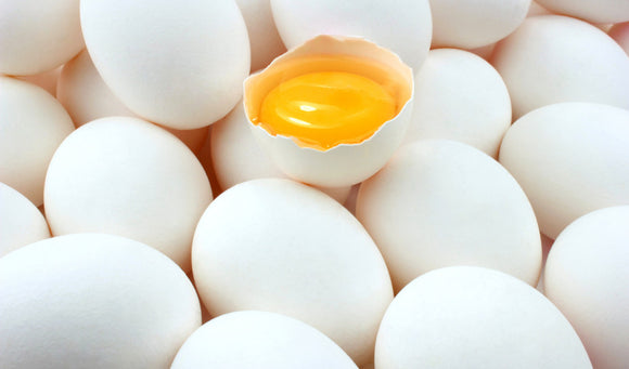 Increasing Shell Strength in Chicken Eggs