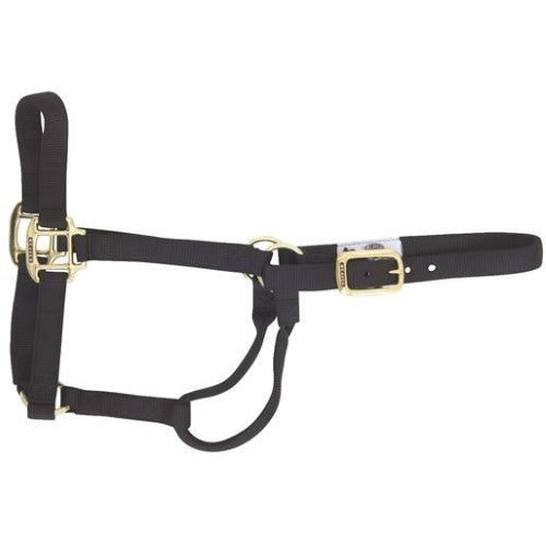 Weaver Original Non-Adjustable Halter , 3/4