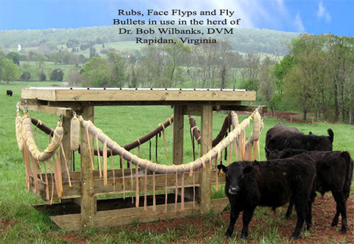 P H White Cow Life Cattle Rub Feeders & Plans (10')